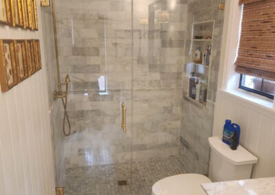 Shower Door - Havana